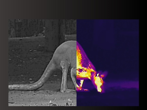 handheld thermal monocular tl430