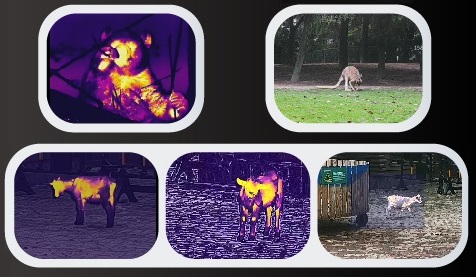 handheld thermal monocular tl430