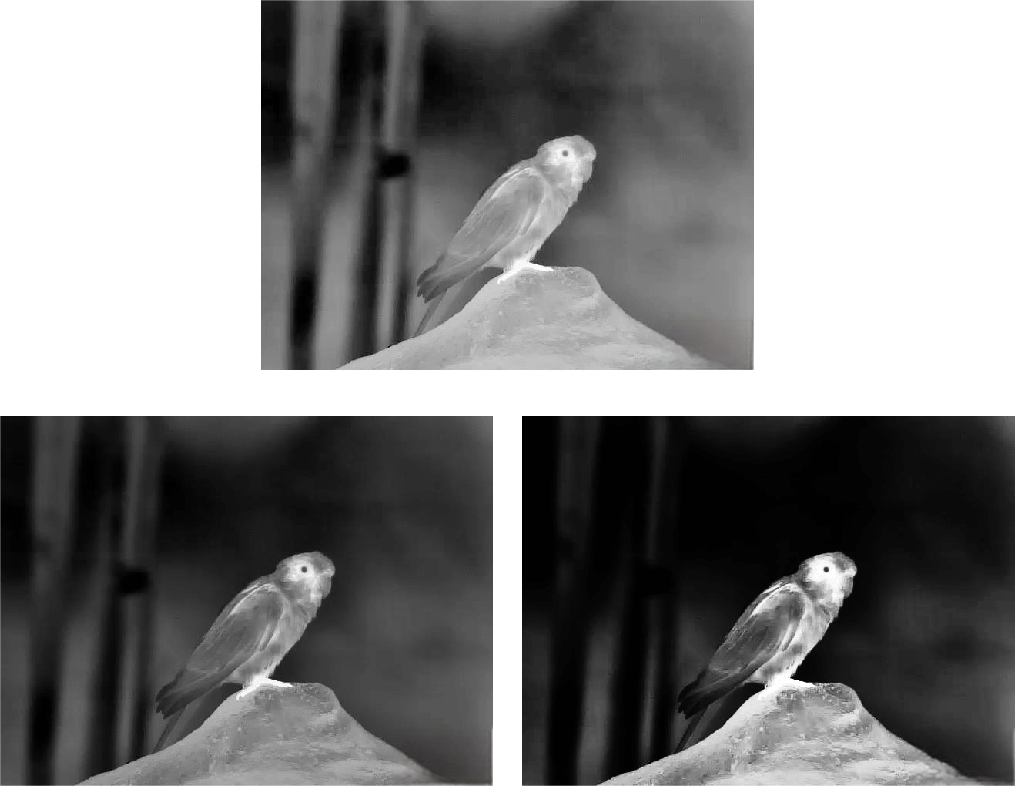 dual spectrum binocular handheld infrared telescope—tn430