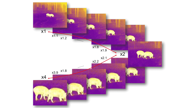 dual spectrum binocular handheld infrared telescope—tn430